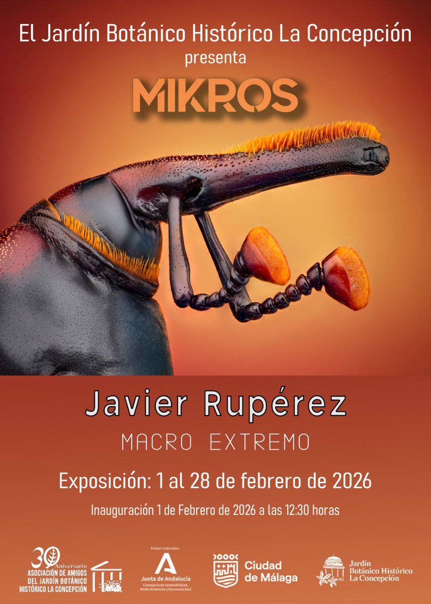 AAJBHC's tweet photo. Hoy inauguramos exposición de Javier Ruperez organizada por nosotros con la colaboración del Ayuntamiento Málaga en @JBHConcepcion 

Un lujo que podamos disfrutar de este magnífico Fotógrafo español, nacido en Madrid en 1960, reside en Málaga desde el año 1980 https://t.co/O7OCTSzGk7