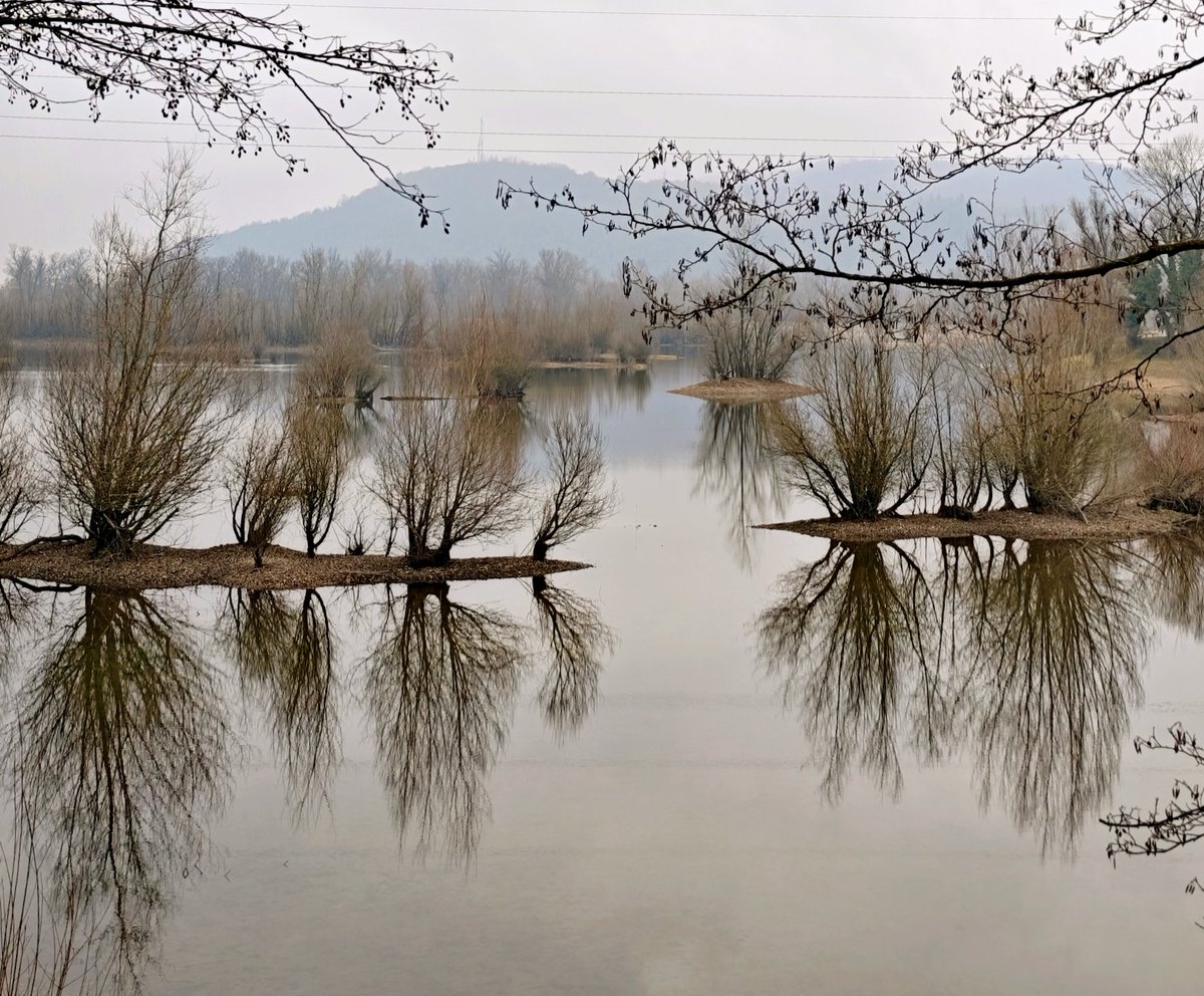 MsBlazic's tweet image. #šetnja