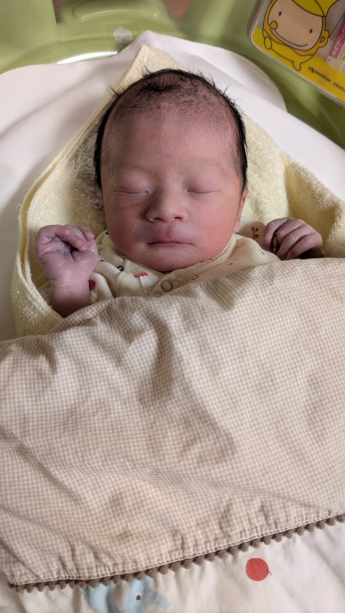 おりゅ tweet media