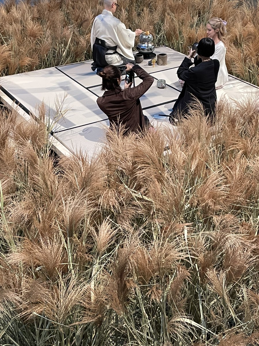 一粒のなおや tweet media