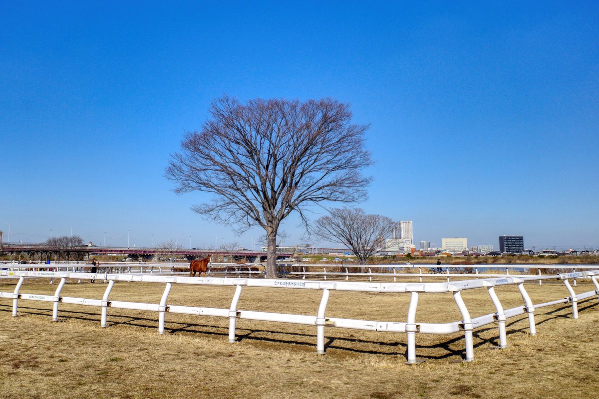 うなくーる tweet media