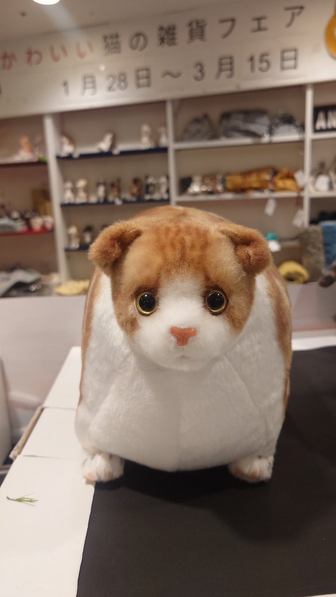 パグお(パグファンシャー) (@pug3ta) / Posts / X