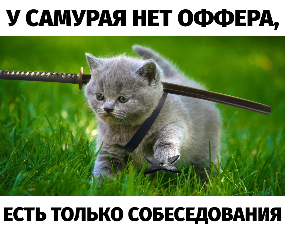 Никита Ш. tweet media