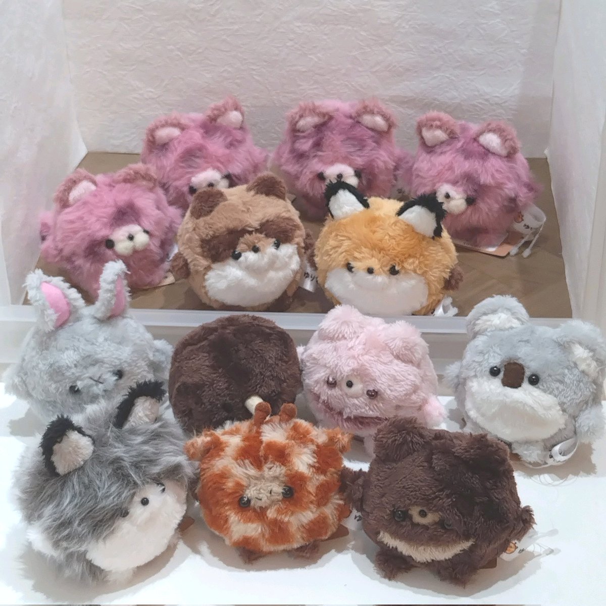 ゆりすけあにまる　作家　ぬいぐるみ　狸　しば犬　狼　リス 本日2/1で開業4周年を迎えました🥹 準備期間を含めるとだいぶ長いこと