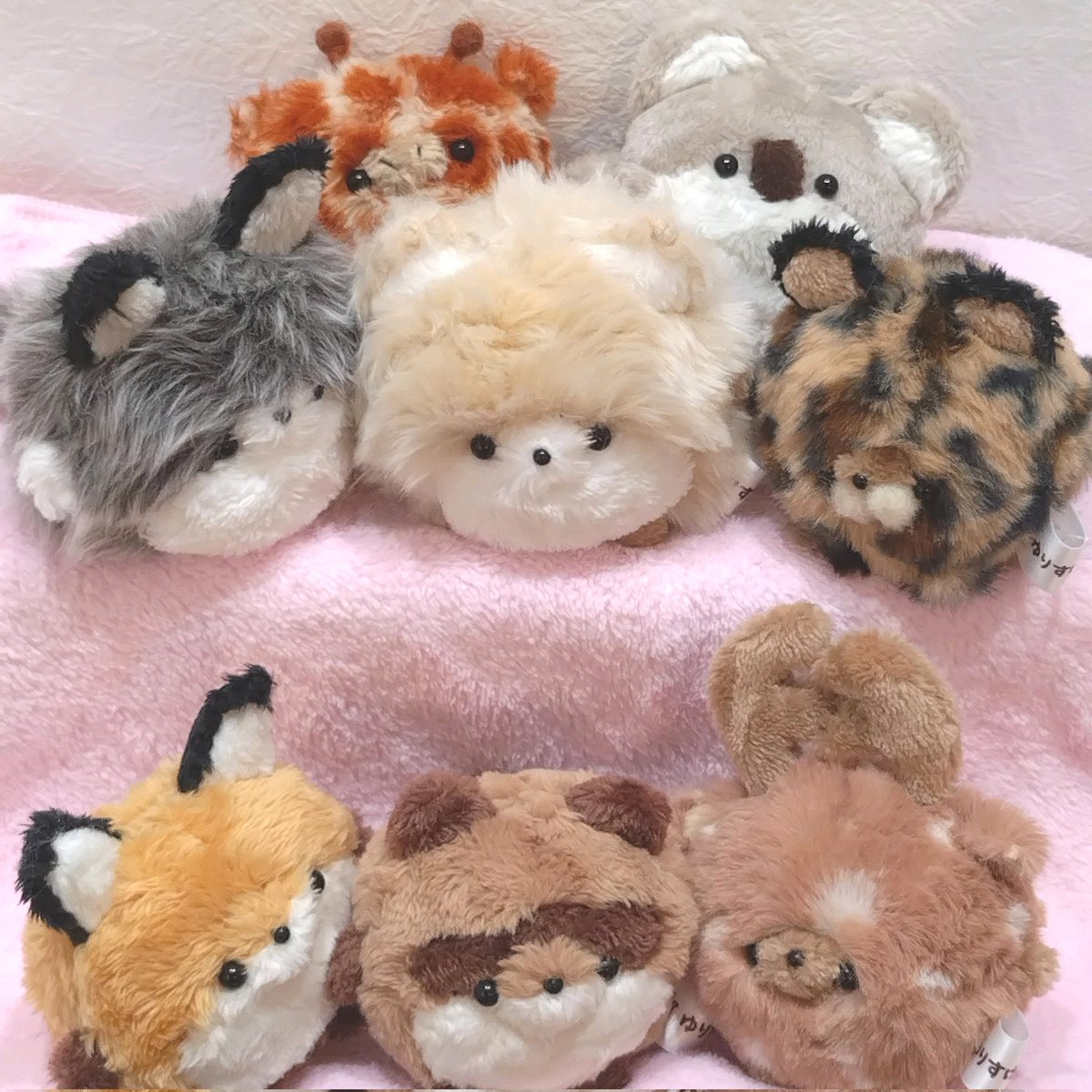 本日2/1で開業4周年を迎えました🥹 準備期間を含めるとだいぶ長いこと