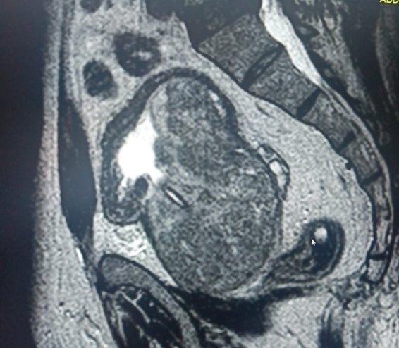 Abdulrahman Alkanderi tweet media