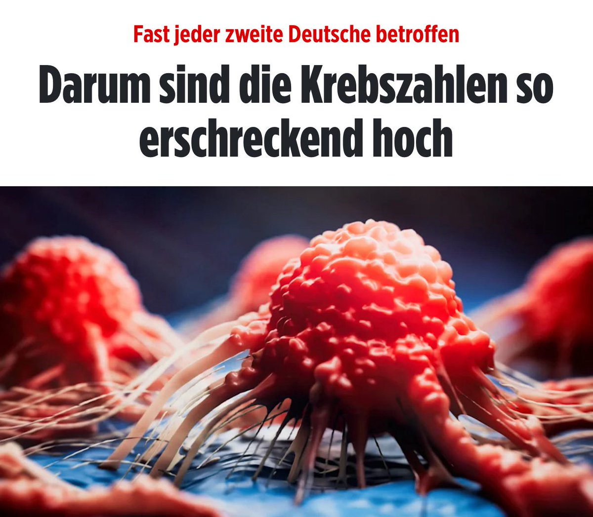 𝑀𝒾𝓈𝓈 𝐸𝓋𝑒 tweet media