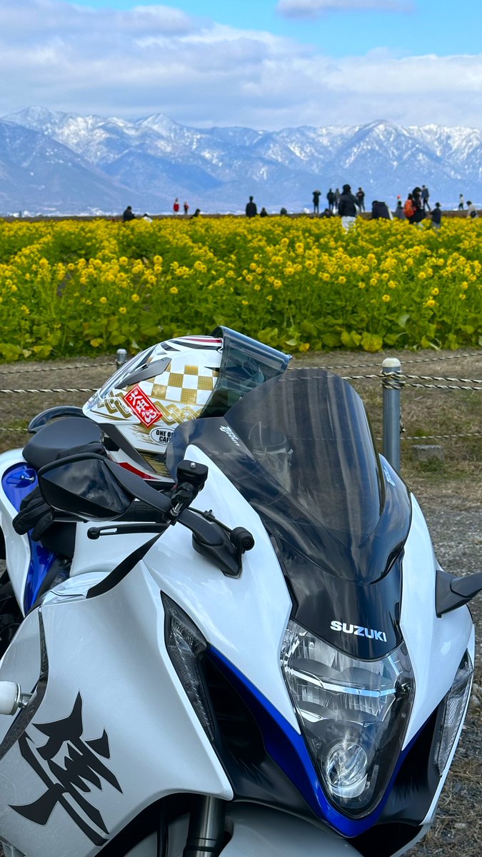 308　とらちゃん とらちゃん (@torachan675r1) / Posts / X