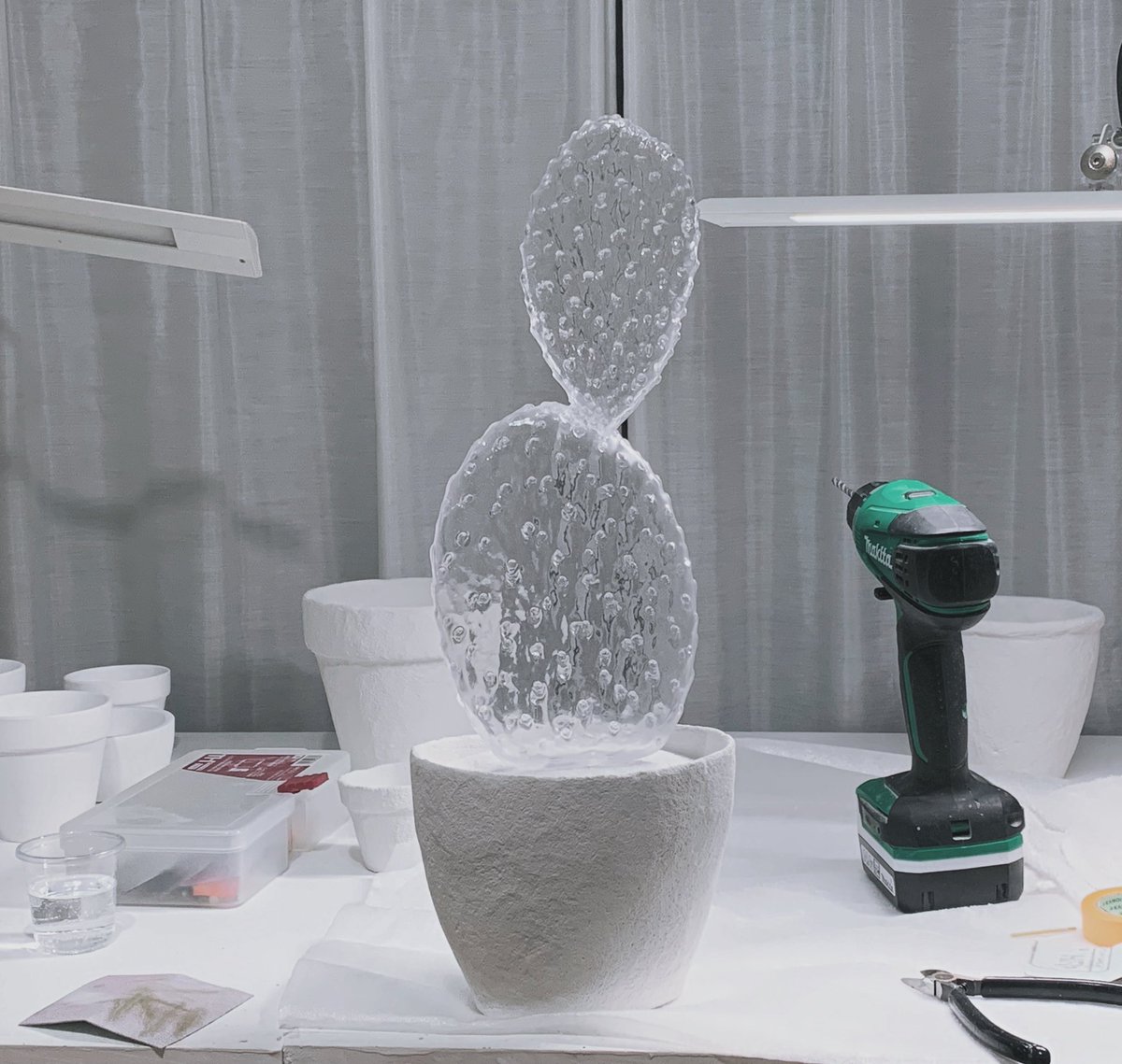 ついに大きな透明サボテン植えれた〜 ⁡ 嬉しすぎる〜🤍