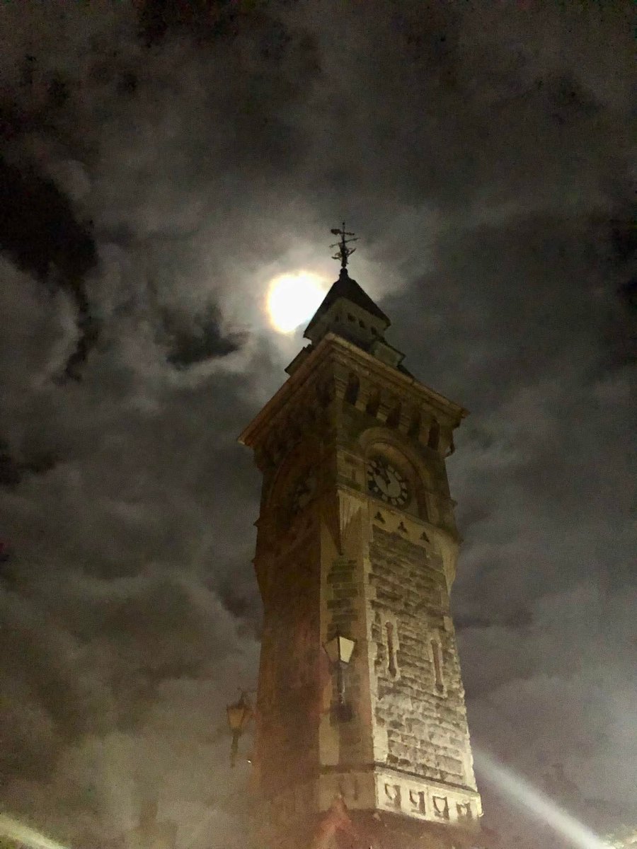 sarah scaife tweet media