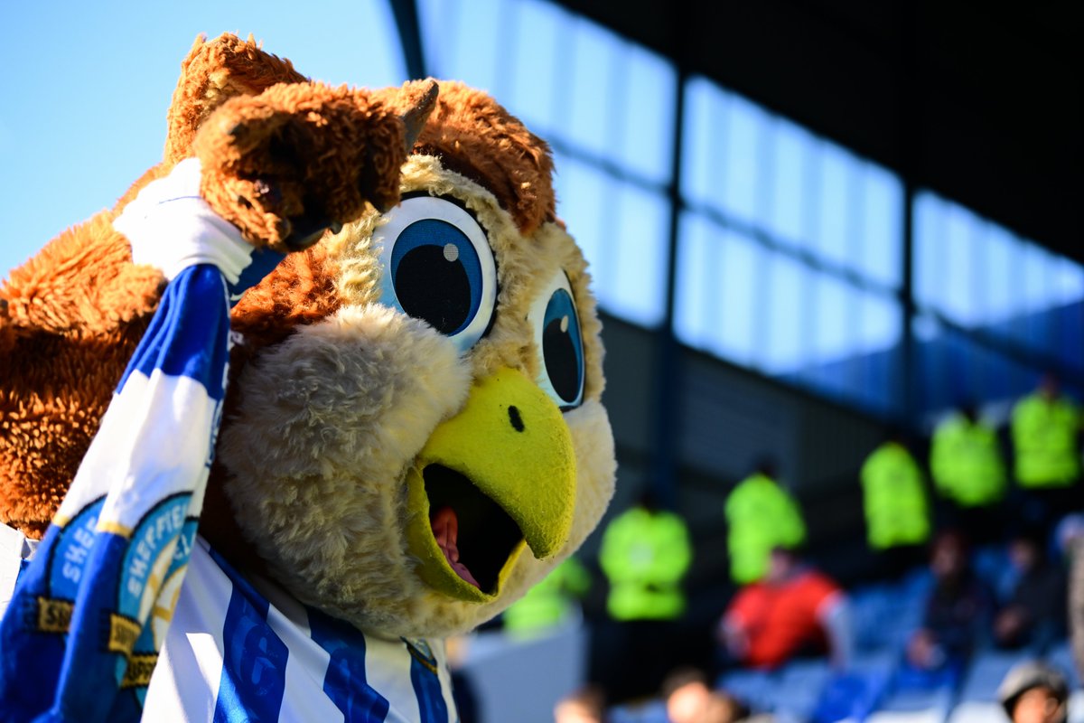 OptaJoe's tweet photo. 0 - Sheffield Wednesday in January 2026 are one of only three Football League sides in history to play seven games in a month in all competitions and fail to score a goal, along with Hartlepool United in March 2013 and Bolton Wanderers in September 2017. Shy. https://t.co/3SudwWTG88