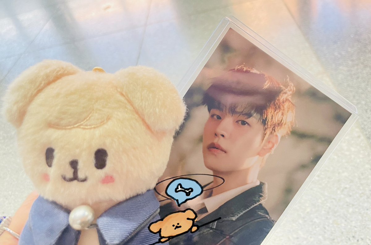 ソシャパ スンミン サイン スンミン 直筆サイン チェキ スキズ スンミン 直筆サイン入りチェキ