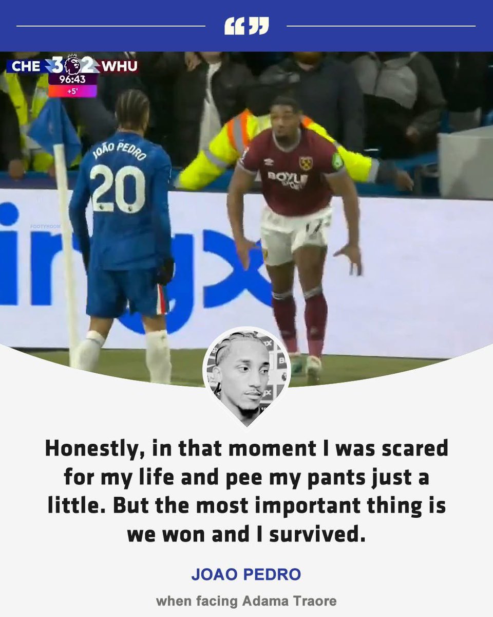 Shithousery HQ tweet media