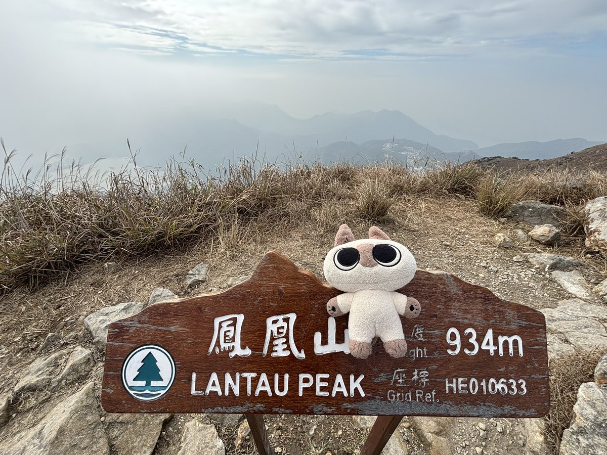 W21Tony's tweet photo. #シャム猫あずきさん Today I took Azukisan to the highest peak that is available for hiking in Hong Kong (which is the second highest peak in HK) 　@yamanobejin https://t.co/2Yijz9c4Yl