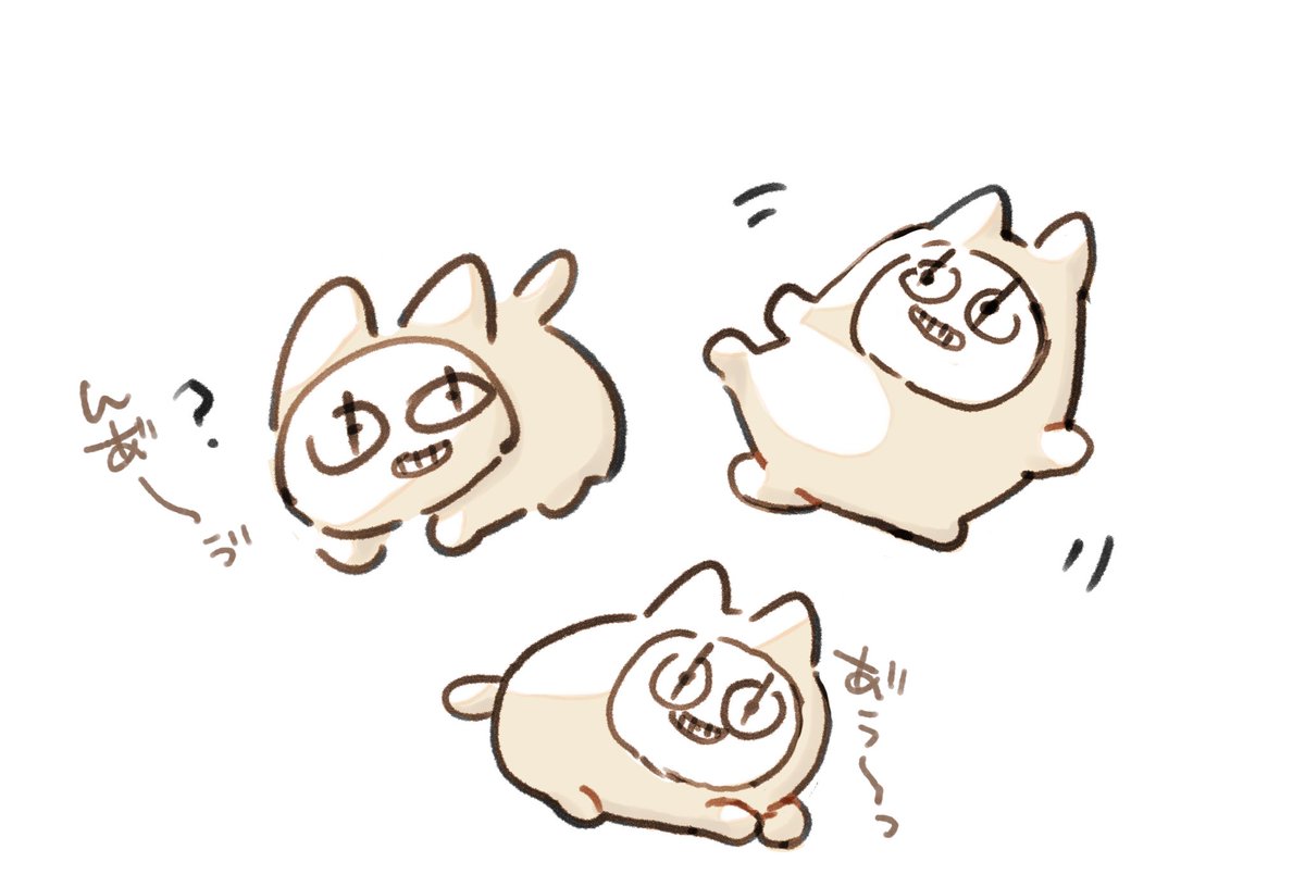 猫フラ🐈