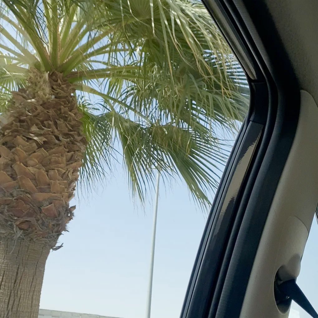 _naf04's tweet image. "وما أنت بغنيِّ ولكن الله أعطاك، وما أنت بقادرٍ ولكن الله أعانك، وما أنت بعالمٍ ولكن الله علمك."🤎