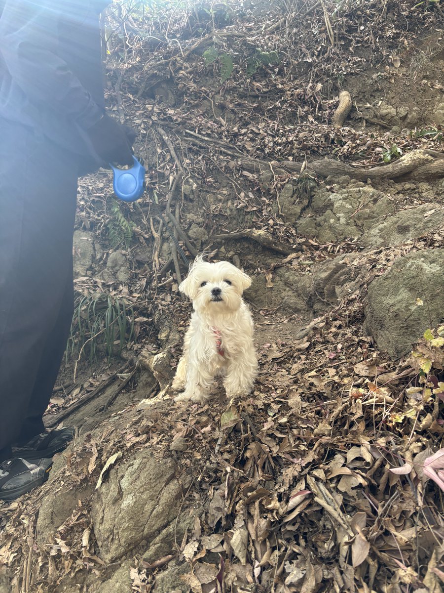 もじゅ tweet media