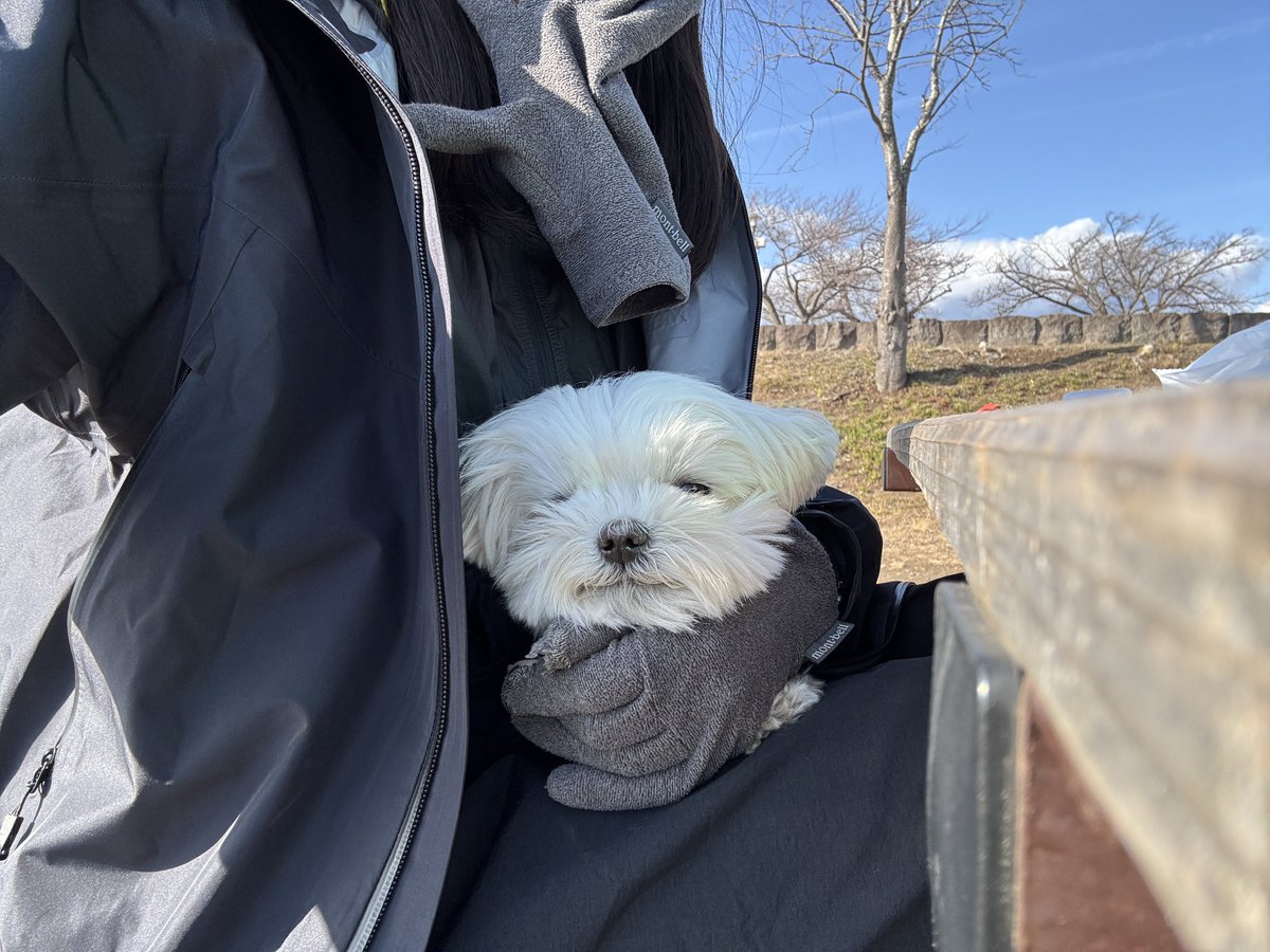 もじゅ tweet media