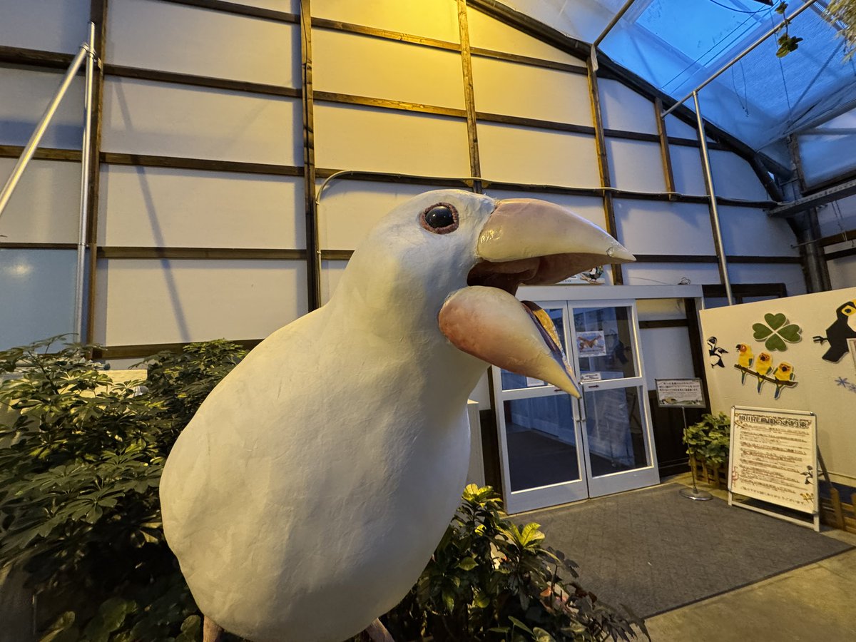 掛川花鳥園「#ことり万博」
2日間、ありがとうございました
そして、この10年間、本当にありがとうございました