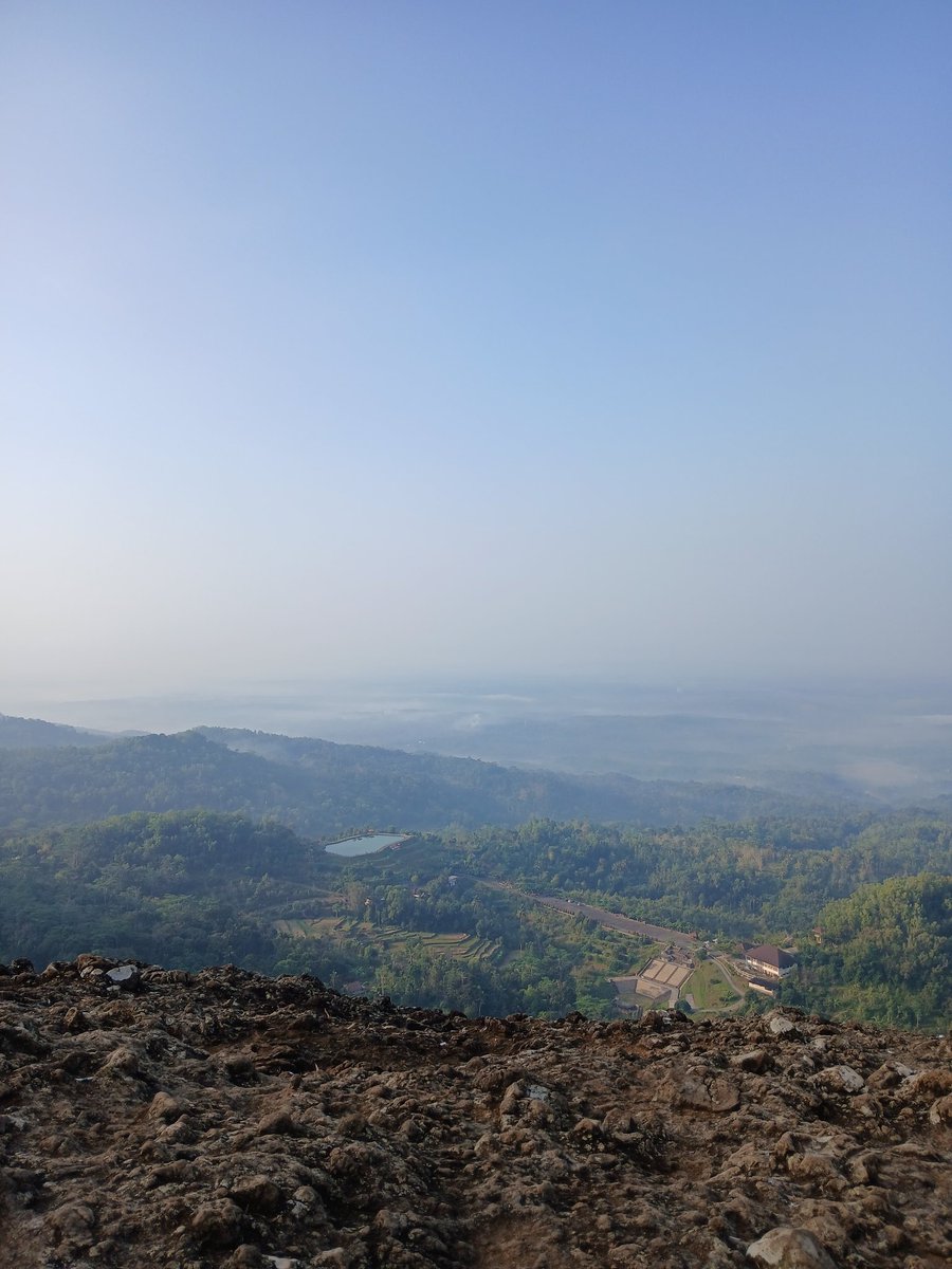 watermelon sugar tweet media