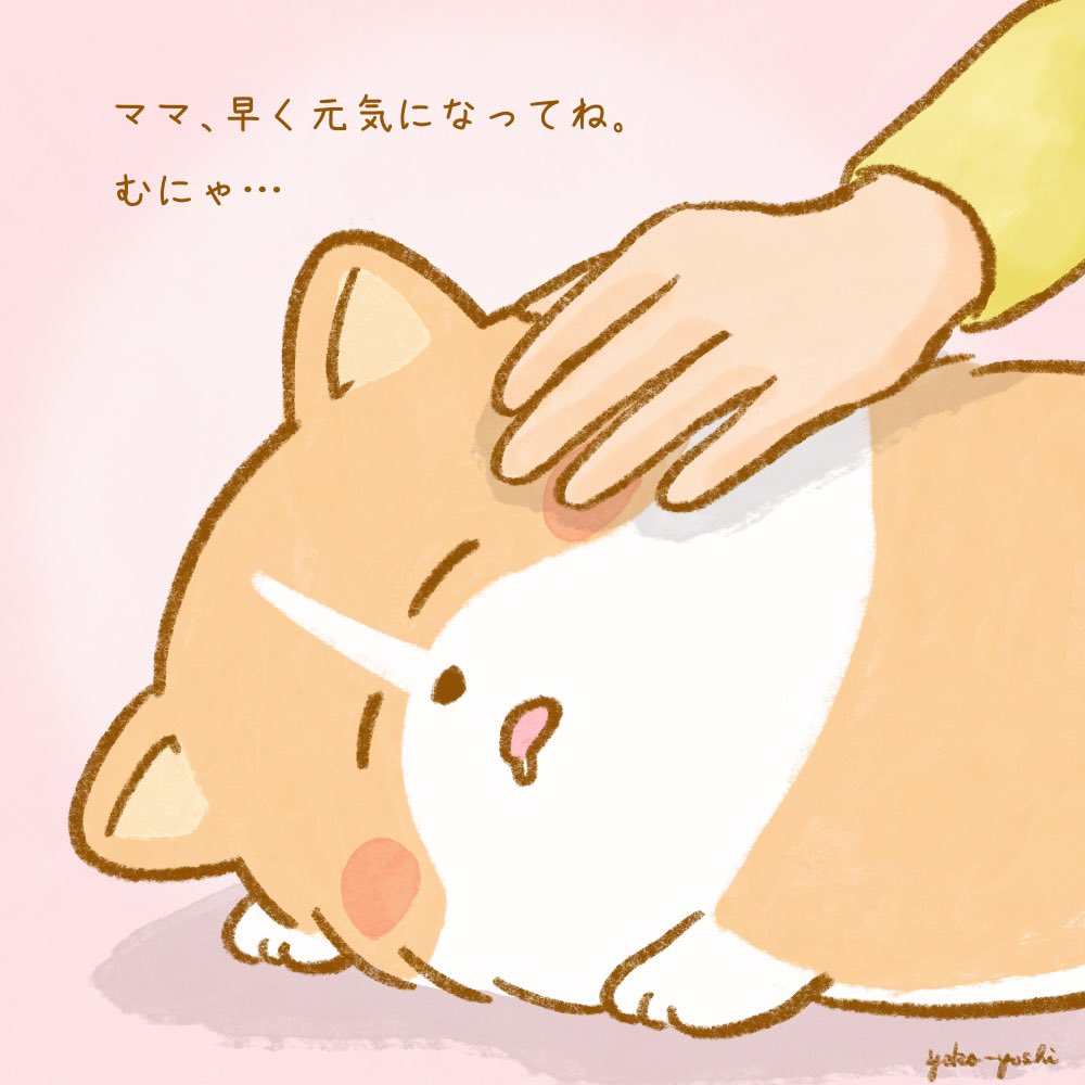 いつもとちがう日②🐶