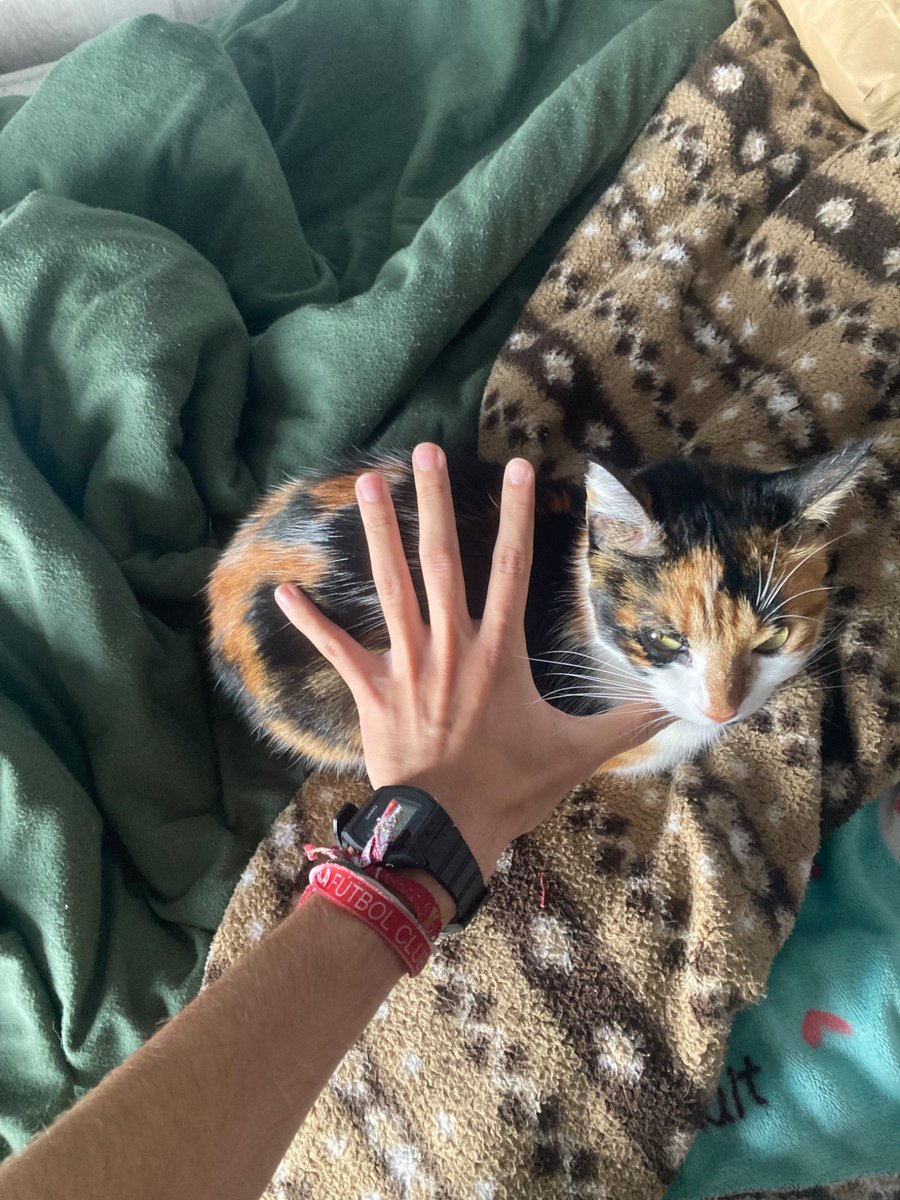 Cada dia es mas pequeña un dia encogera tanto que desaparecerá