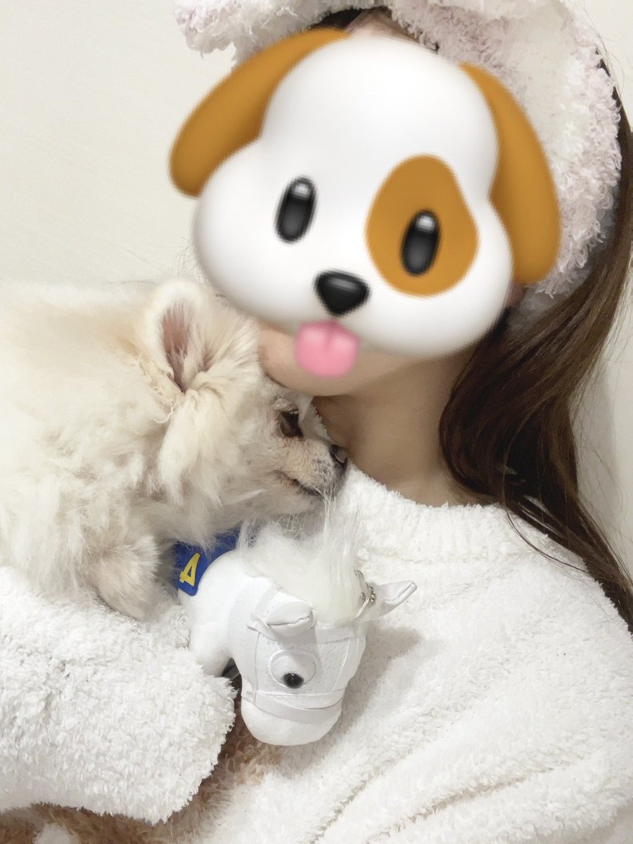 すず (@saseeeeeeeee2) / Posts / X