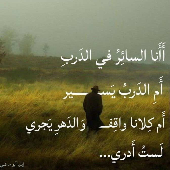 بيت شعر عربي كل يوم tweet media