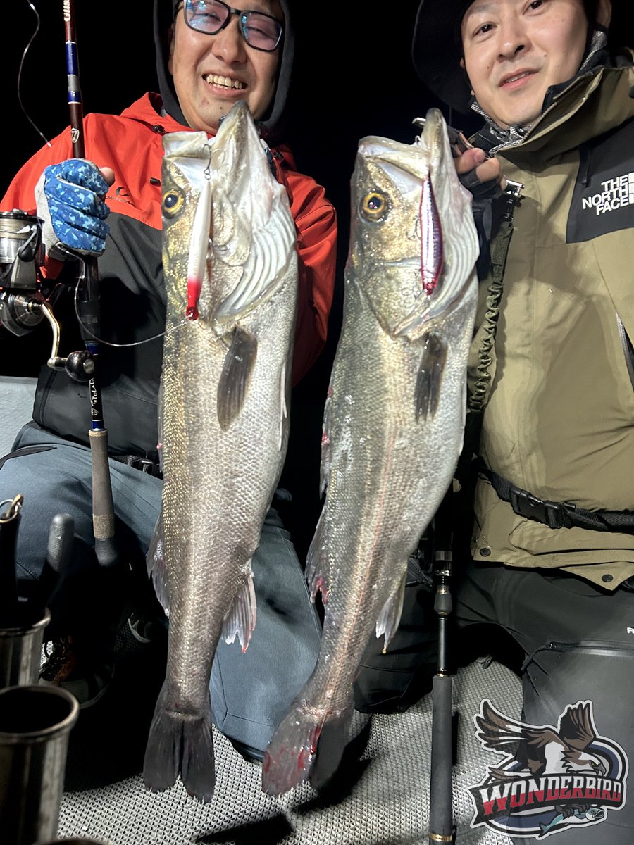 このアトラクションを体感せよ⚡️

#愛媛　#遊漁船ワンダーバード