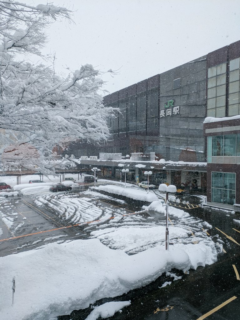 菅原健志 tweet media