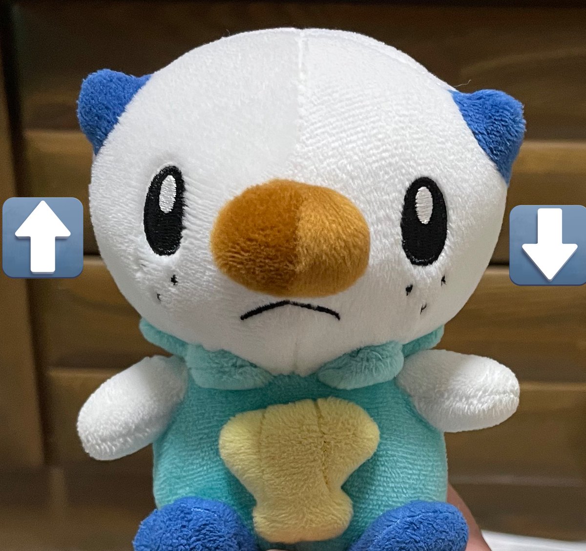 ミジュマルといっしょちゃんねる (@nuinui1103) on Twitter photo 