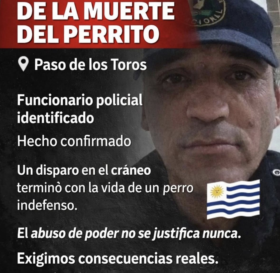Eme_Erre_Perro's tweet photo. Llevás armas y un uniforme que NOSOTROS te pagamos, ejecutás a un perro y no se te mueve un pelo, tratándolo con total desprecio, estás a nada de hacer lo mismo con cualquier animal humano, pedazo de mierda, maldito milico hijo de recontra mil putas, y la concha de tu madre. https://t.co/KzWPzXOOvD