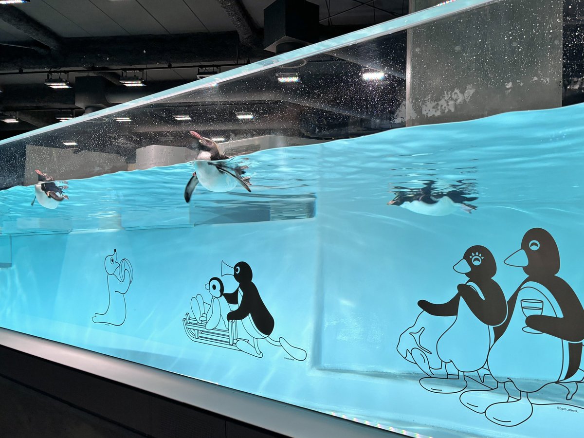 水族館という空間がとても好きなんだけど、AOAO Sapporoに行ったら