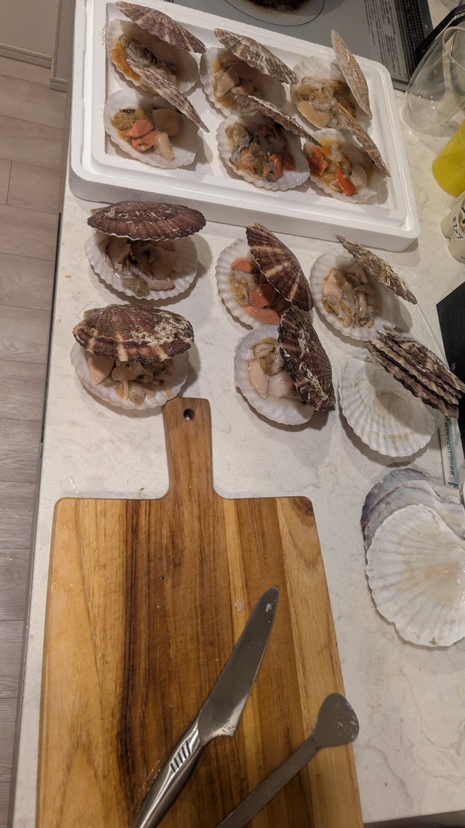 保立 馨（Kaoru Hotate） tweet media