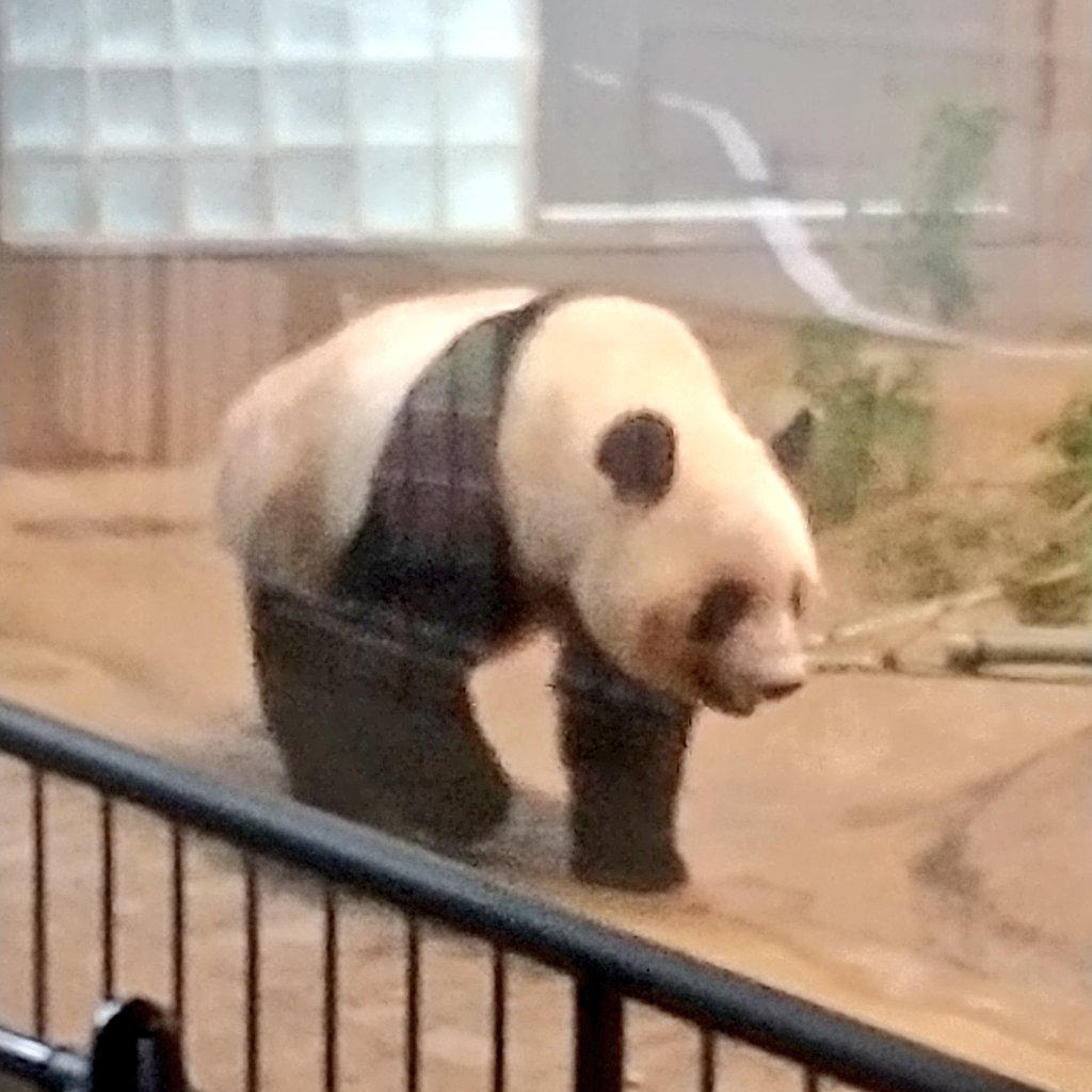 ちゃた tweet media