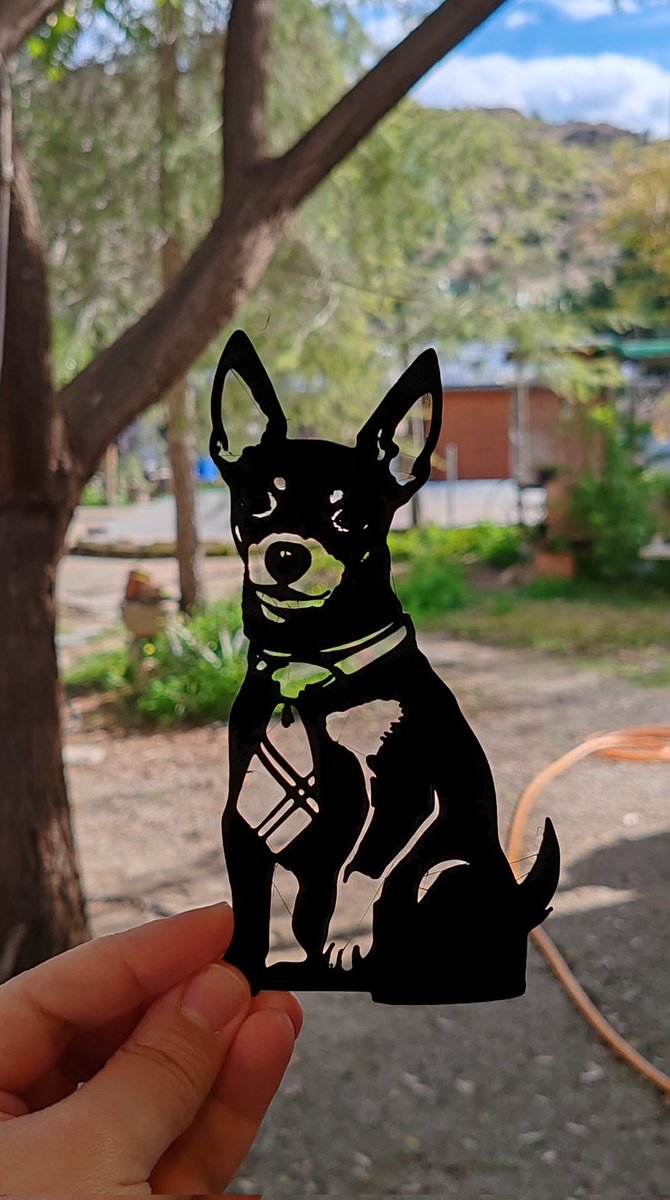 El Botín del Panda 💰🐼🧡 tweet media