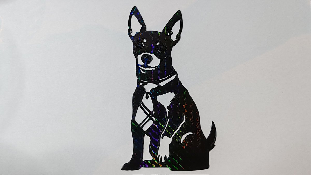 El Botín del Panda 💰🐼🧡 tweet media