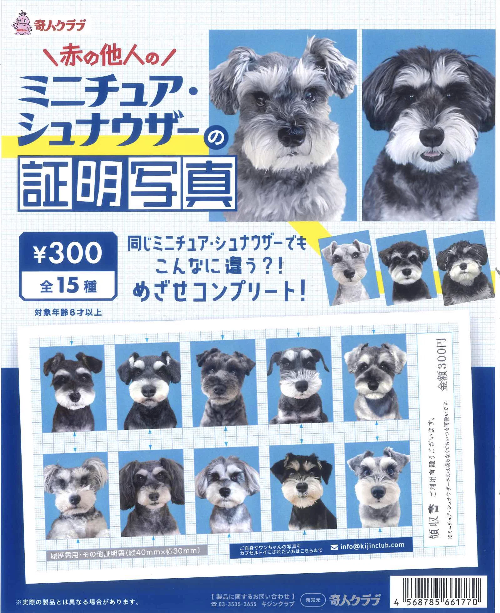C-pla アドホック新宿店【公式】 on X: 
