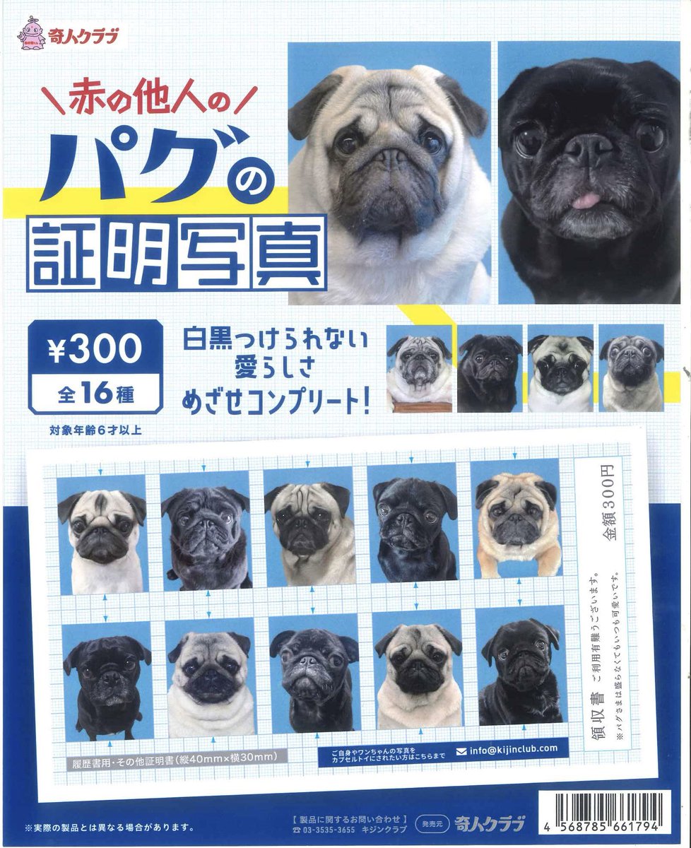 🌧️完売情報🌧️ 🐶 パグの証明写真 こちらご好評につき完売致しまし