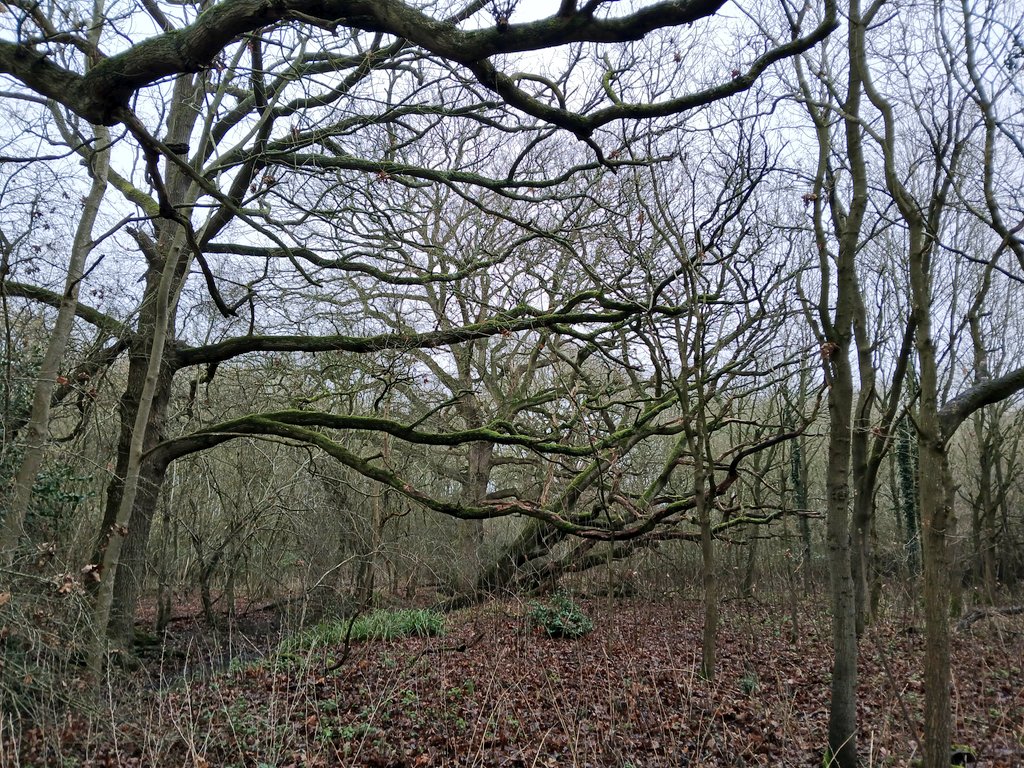 Psychojographer tweet media