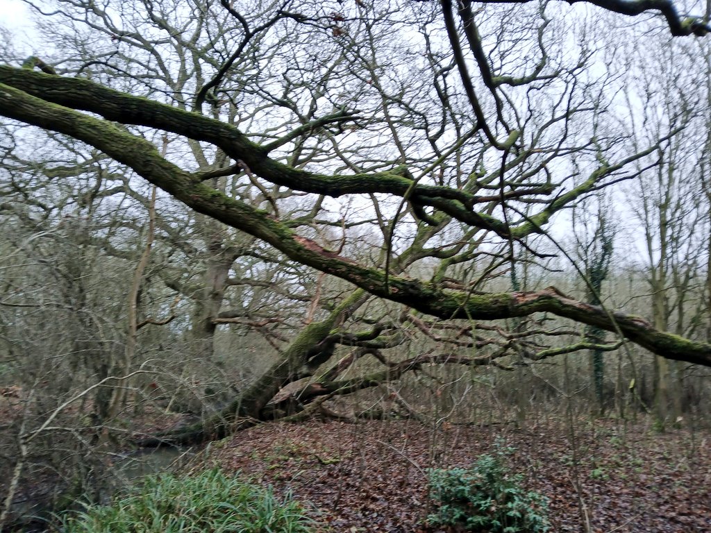 Psychojographer tweet media