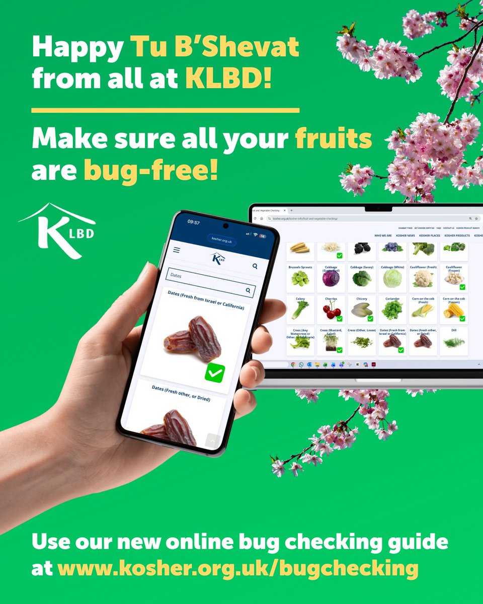 KLBD Direct tweet media