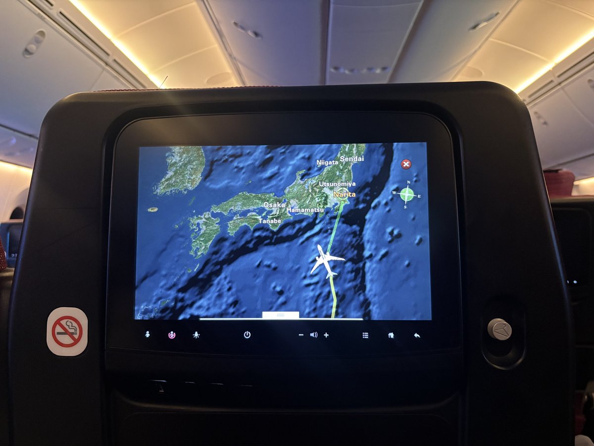 bee ⚘.✿˖° tweet media