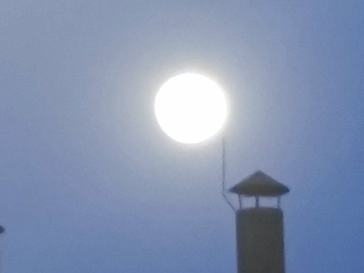 今天的月亮可真好啊