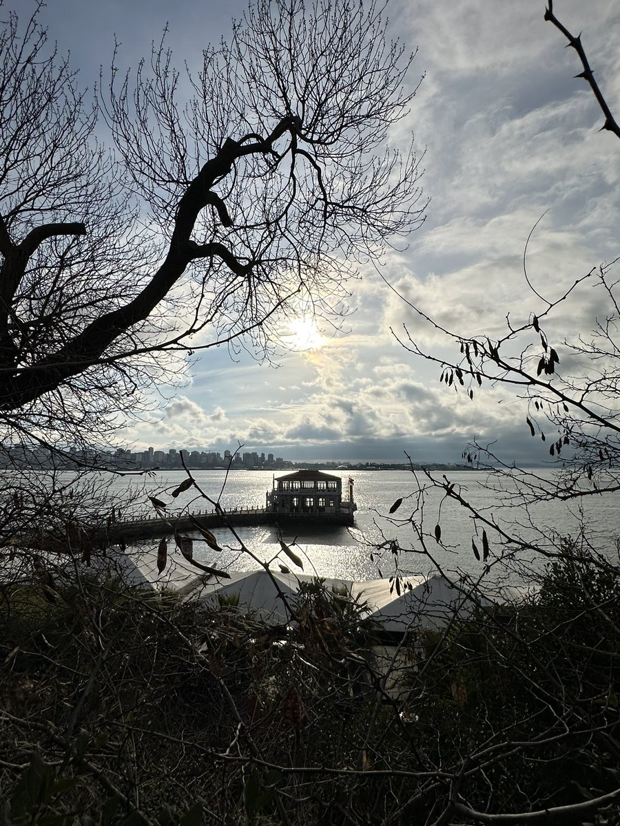 Halit Bekiroğlu tweet media