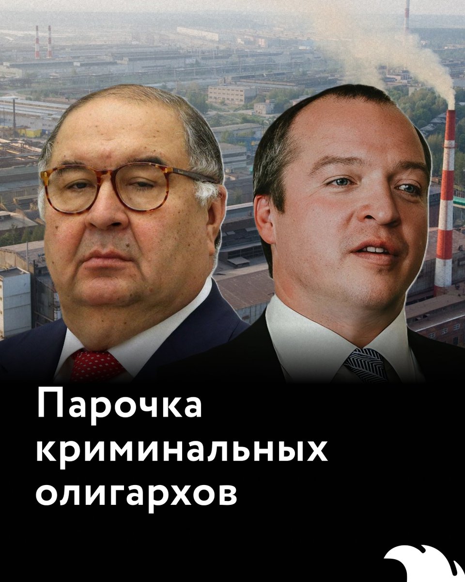 Метла tweet media