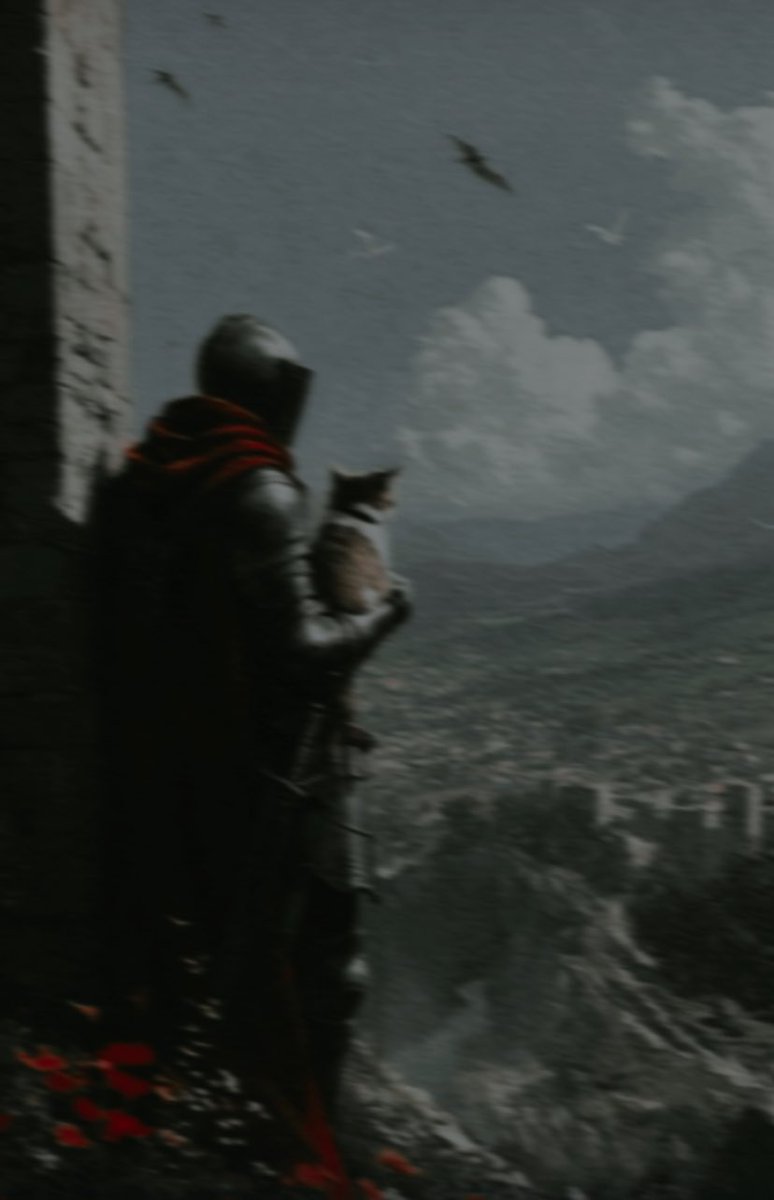 KnightAndCat's tweet photo. https://t.co/z1jq7mGnly