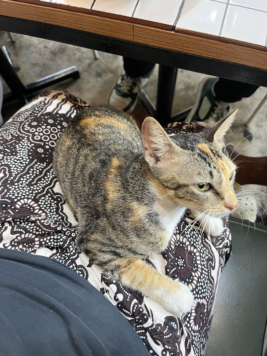 hansol ✰ tweet media