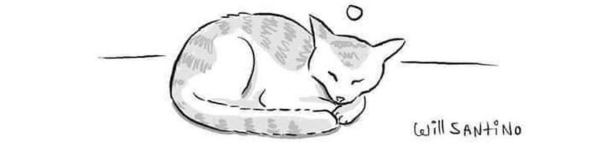 MA_rramll's tweet image. NOOOOOO