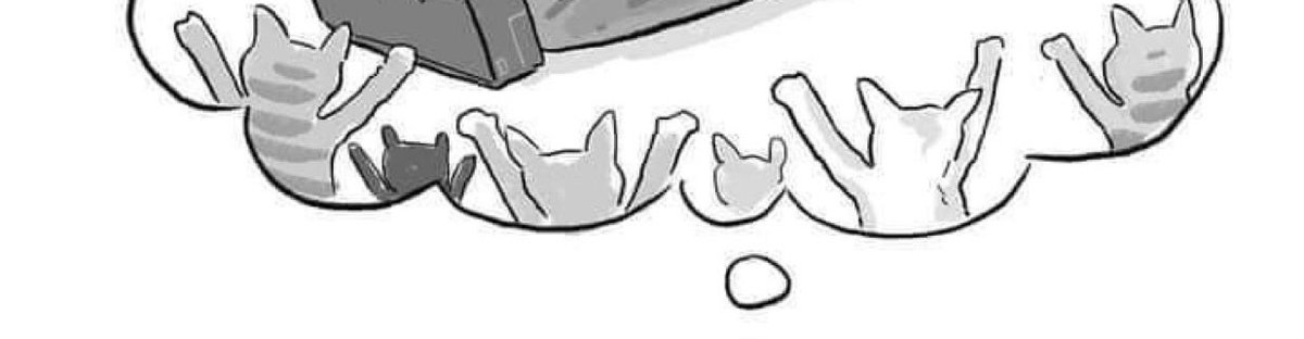 MA_rramll's tweet image. NOOOOOO